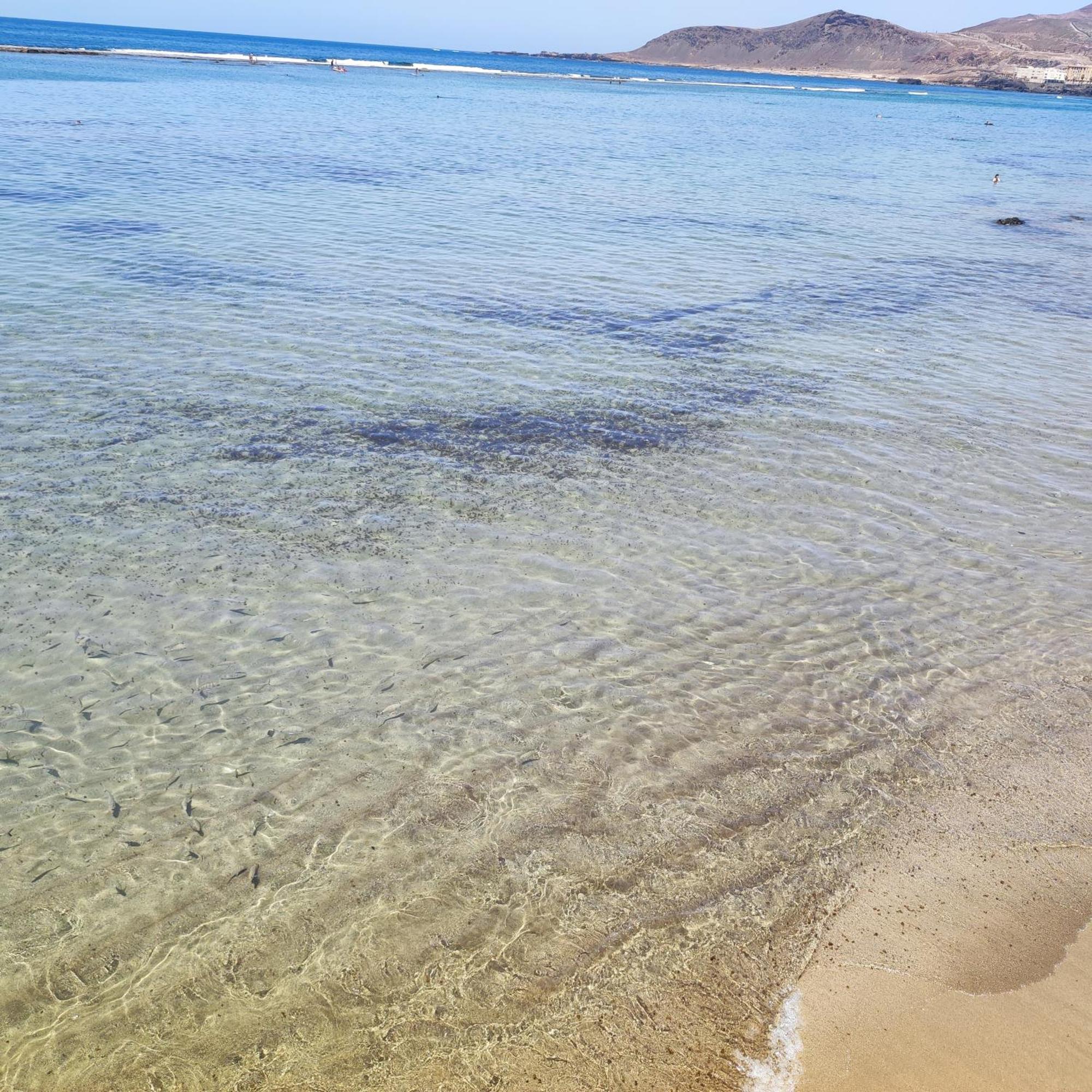 Mirlo Canteras ลาสปัลมาส เด กรานคานาเรีย ภายนอก รูปภาพ